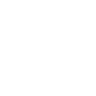Security-White96px
