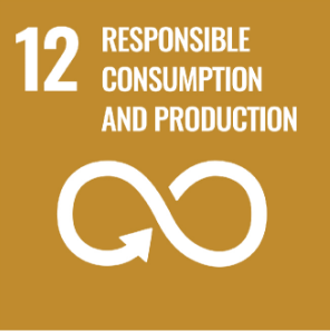 UN-sustainable goals-responsible-consumption