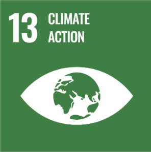 UN-sustainablegoals-climate-action